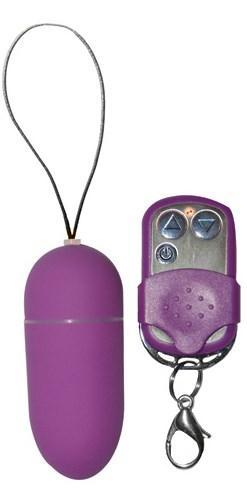 Power Bullet Vibrator With Remote Control Purple